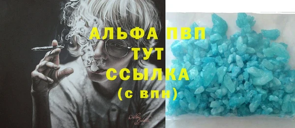 apvp Алзамай