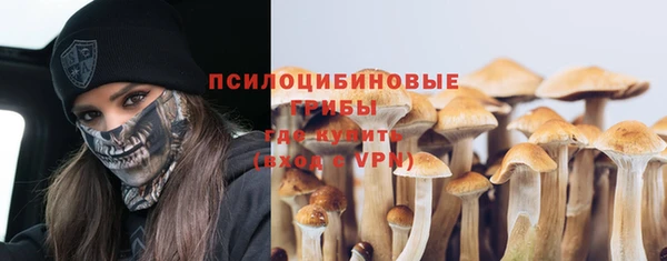 сатива Абинск
