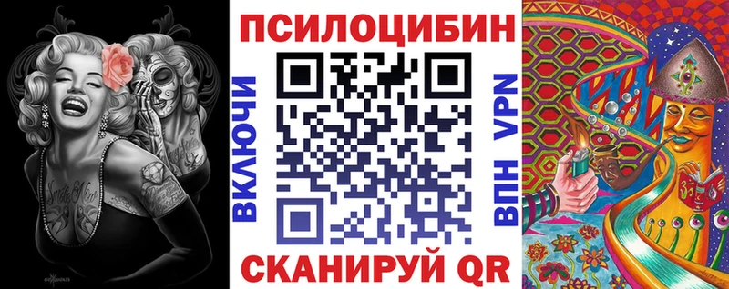 Галлюциногенные грибы Psilocybe Жердевка