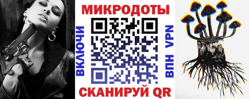 что такое   Жердевка  Галлюциногенные грибы Psilocybe 